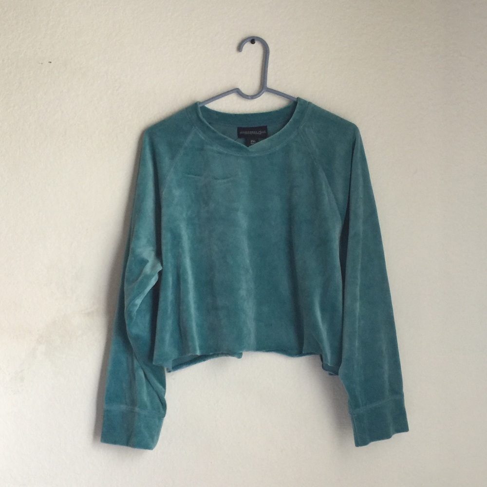Blue velvet cropped sweater